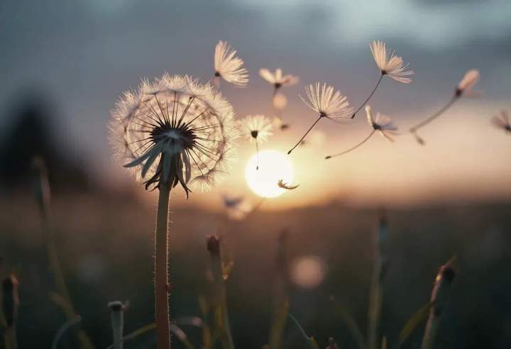 Signature contrat prévoyance obsèques Gers